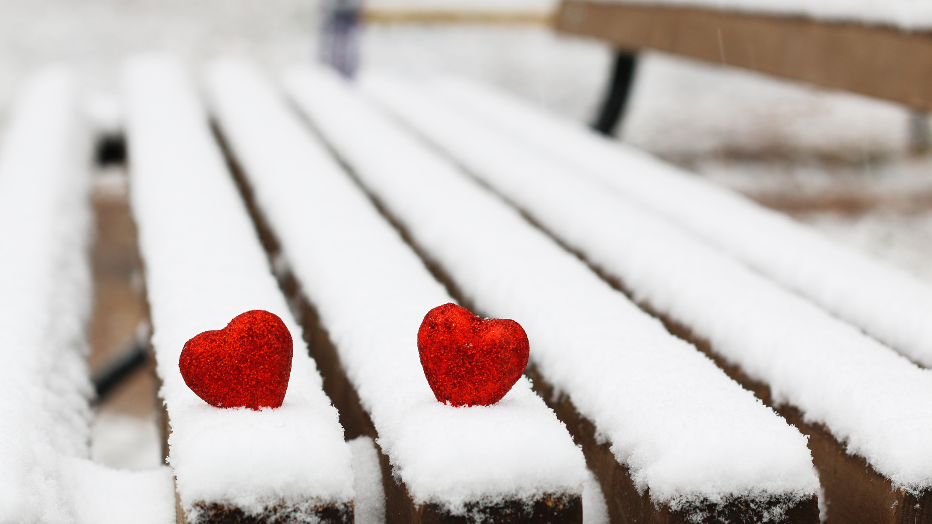 Love Your Neighbourhood: Peel and Halton’s Most Romantic Winter Destinations