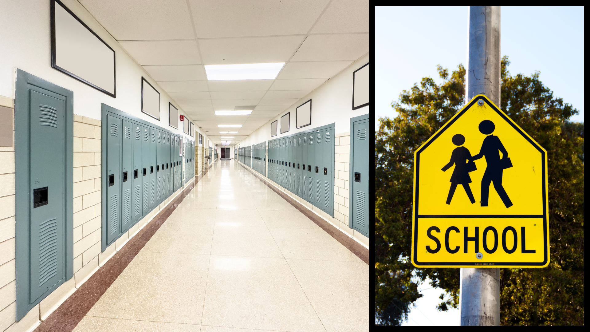 School's In Session: 2026 Enrolment Data and Neighbourhood School Rankings