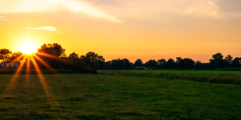 Late Summer Market Pulse: Peel Region Inventory & Pricing Trends